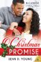 [The McClendon Holiday Series 02] • The Christmas Promise